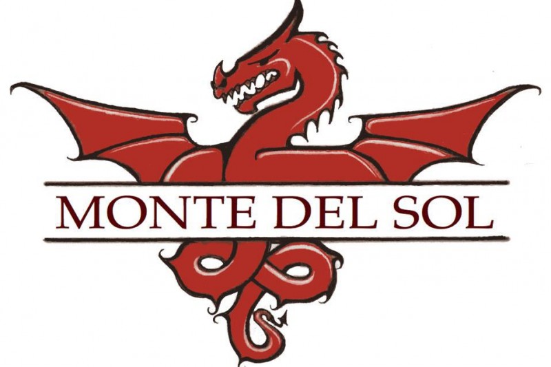 Fundraiser for The Foundation for Monte del Sol by Alfredo Celedón