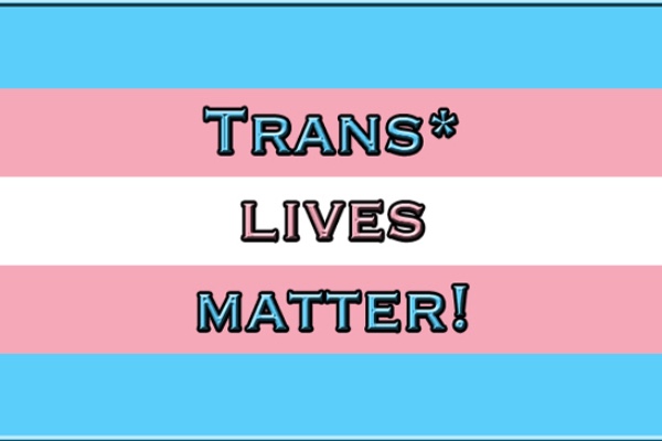 Fundraiser for Sephora Lewis by Jaliyah Mimi Nowak Trans