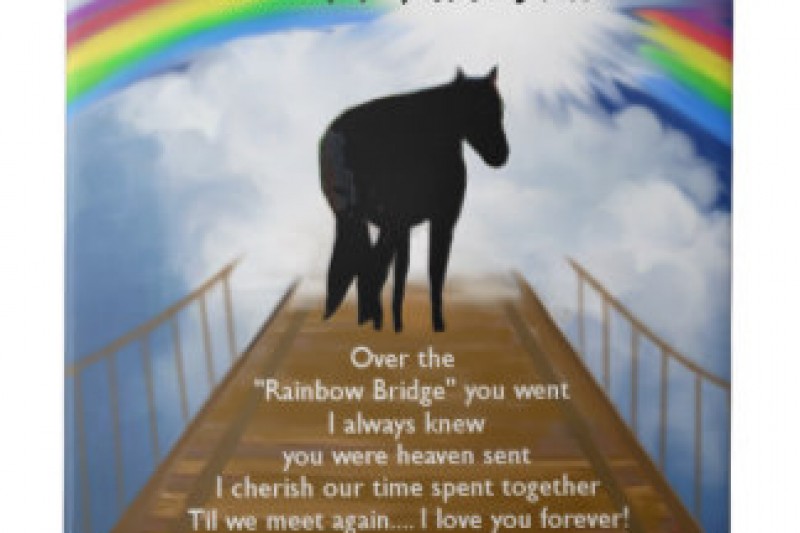 jim-warren-rainbow-bridge-stairway-to-heaven-over-the-rainbow