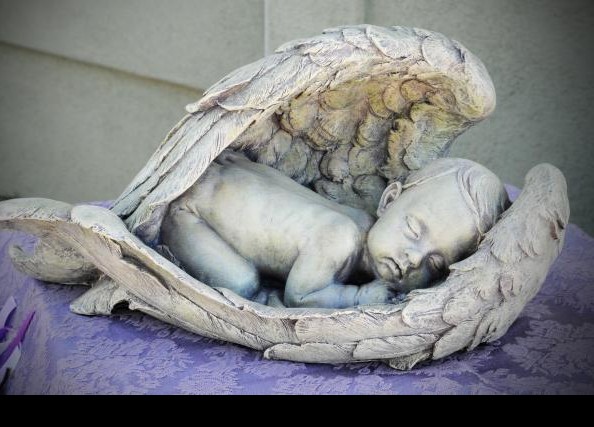 Empty Cradle by Emmy Jackson Empty Cradle by Emmy Jackson