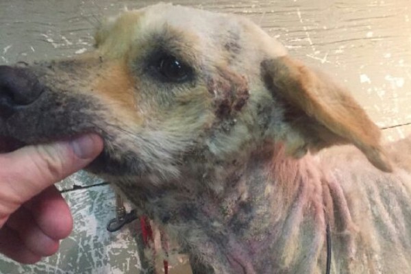 Catch of the day - Old fighter boy - YouTube